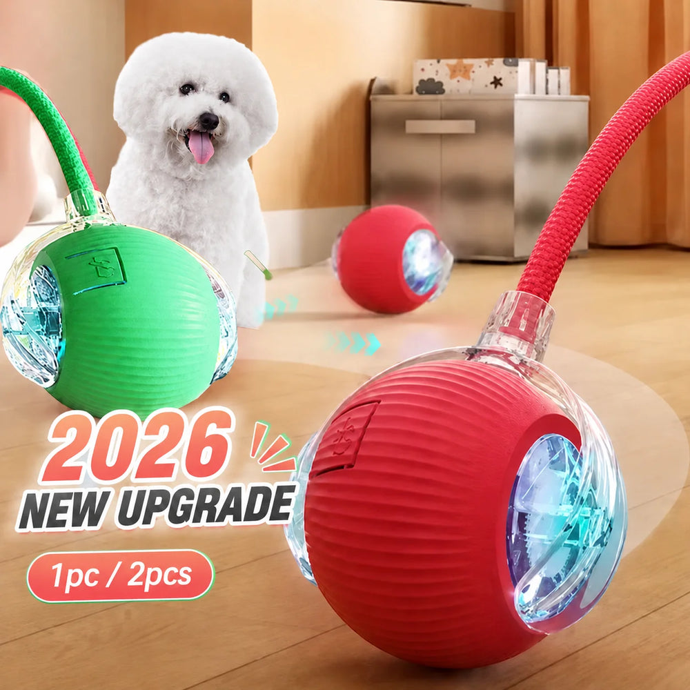 Interactive Smart Cat Ball — 2026 Upgraded Edition