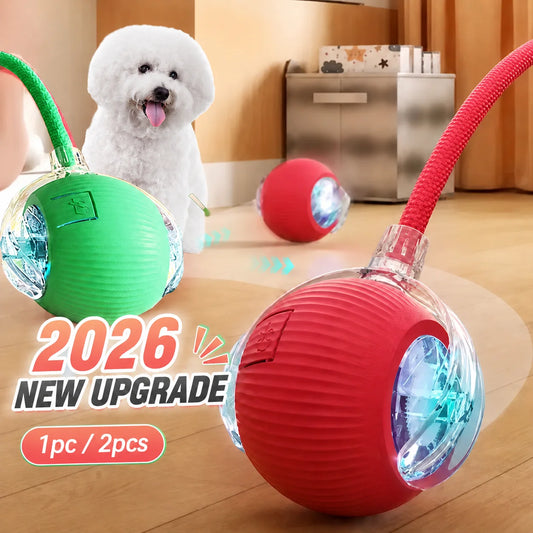 Interactive Smart Cat Ball — 2026 Upgraded Edition