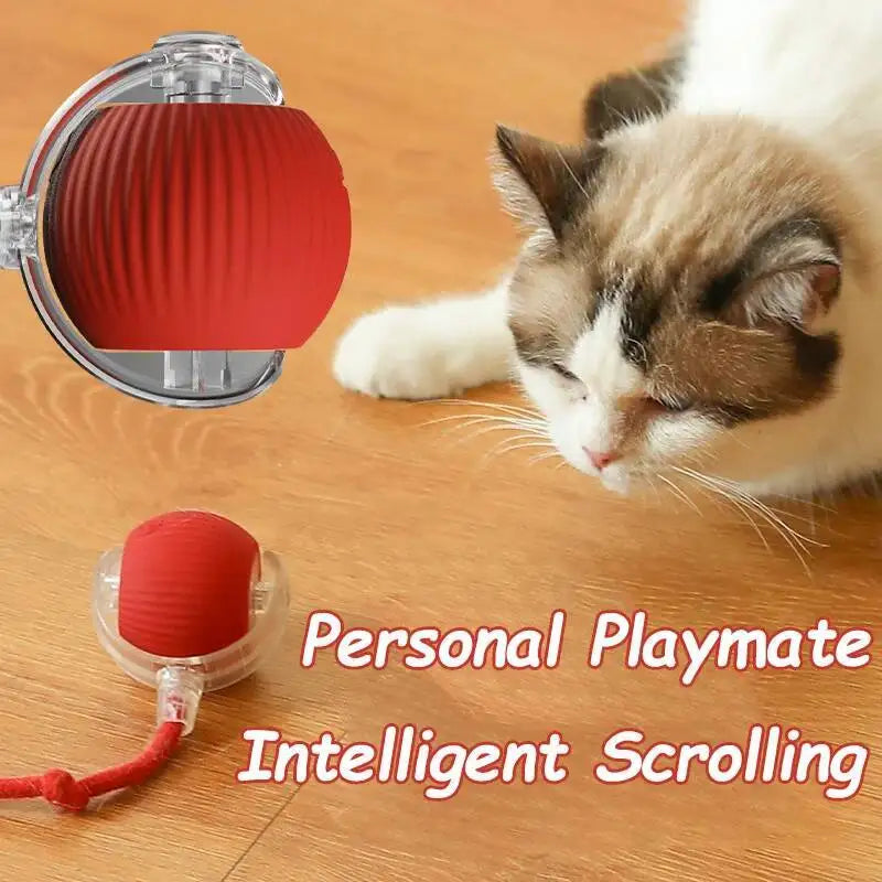 Pelota interactiva  para mascotas: pelota automática que rueda, con cola sintética, recargable e inteligente