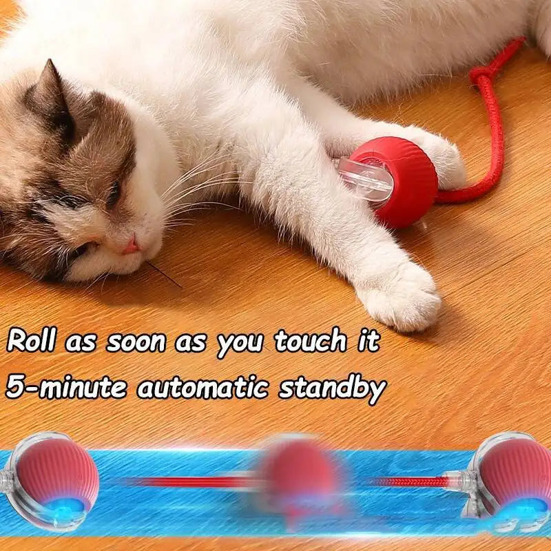 Pelota interactiva  para mascotas: pelota automática que rueda, con cola sintética, recargable e inteligente