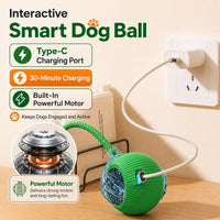 Interactive Smart Cat Ball — 2026 Upgraded Edition