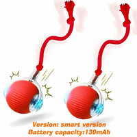 Interactive Smart Cat Ball — 2026 Upgraded Edition