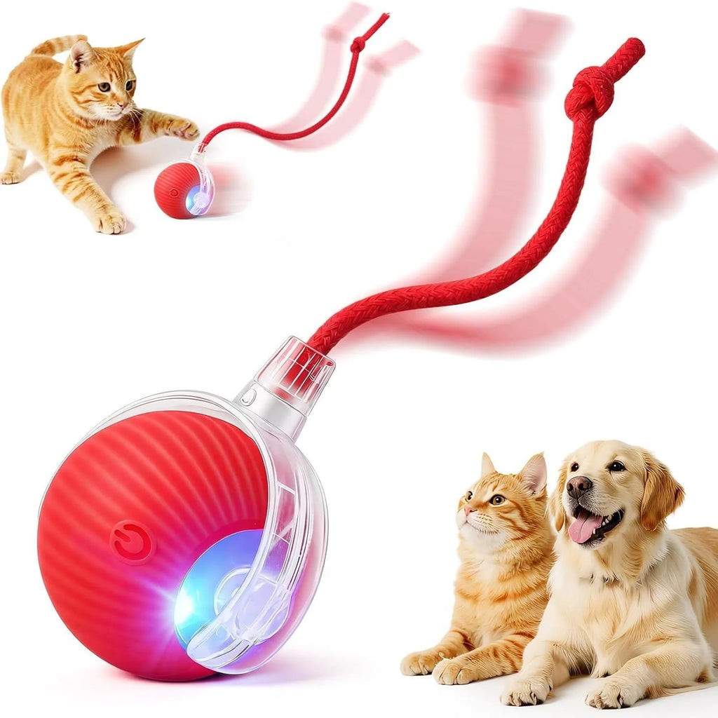 Pelota interactiva  para mascotas: pelota automática que rueda, con cola sintética, recargable e inteligente