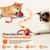 Interactive Smart Cat Ball — 2026 Upgraded Edition